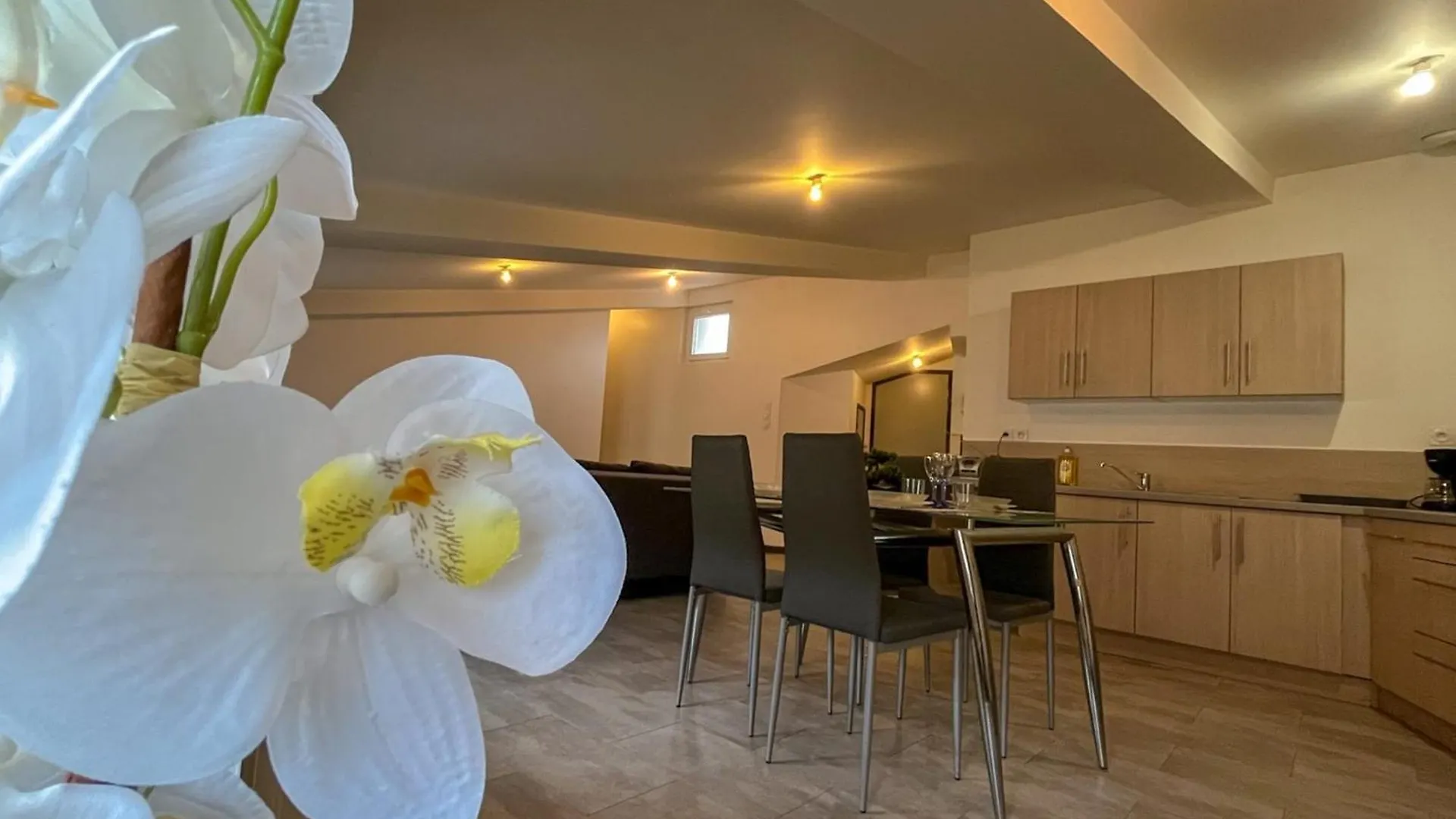 Chez Isa - Tournon-Sur-Rhone Apartment